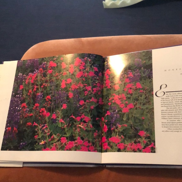 WILDFLOWERS OF THE AMERICAN WEST • HARDCOVER COFFEE TABLE BOOK - Picture 10 of 15